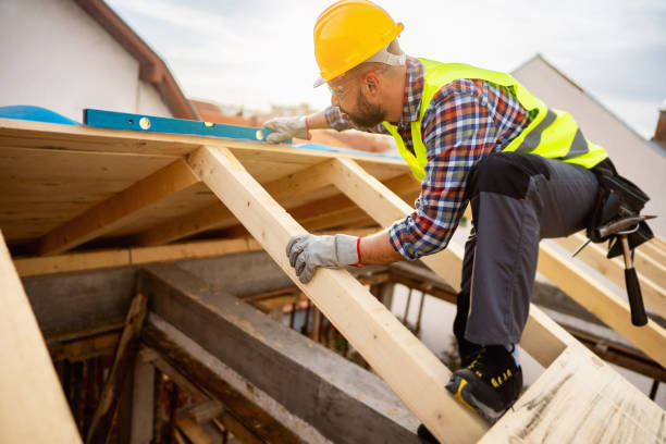 Best Roof Gutter Cleaning  in Cornelia, GA
