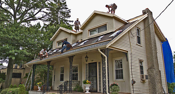 Best Roof Gutter Cleaning  in Cornelia, GA